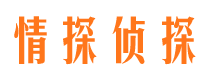 灵川出轨调查